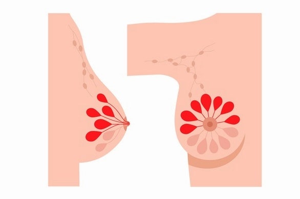 가슴성형 후 통증 붓기? 빠른 회복을 위한 꿀팁 - 전문의 작성 사진 7